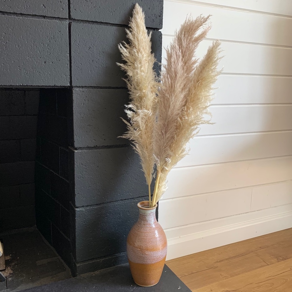 Pampas Grass (4pcs)